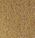 5 YELLOW Mustard Seeds Pounds Bulk Bag-Heat Sealed to Maintain Freshness
