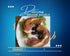 1935 4 Trend Baklava stanbul Turkish Bakery, Breakfast Bagel, Fresh Bread, Rolls Bread Fresh Bakery, Sesame Bagel