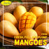 Packs, (16 Oz) NAM HUY Dried Mango Fruit Snacks, Original Taste of Vietnamese Fruits, No-Added Sugar or Preservatives