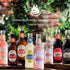 9.3 Oz (Pack 4) Fentimans Sparkling Ginger Beer - Ginger Ale, Ginger Beer Non Alcoholic, Craft Soda with Herbal