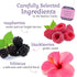 18 Count (Pack 6), 108 Bigelow Botanicals Cold Water Infusion Blackberry Raspberry Hibiscus Herbal Tea, Caffeine Free