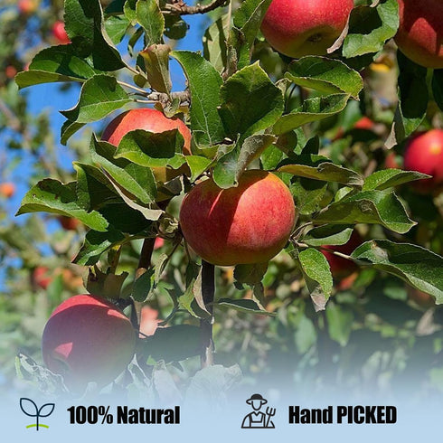Generic Simmer 3.88 Oz/110g Dried Apples Slices No Sugar Added Bulk Snacks Bags Dehydrated Apples For Pot Tea Cake