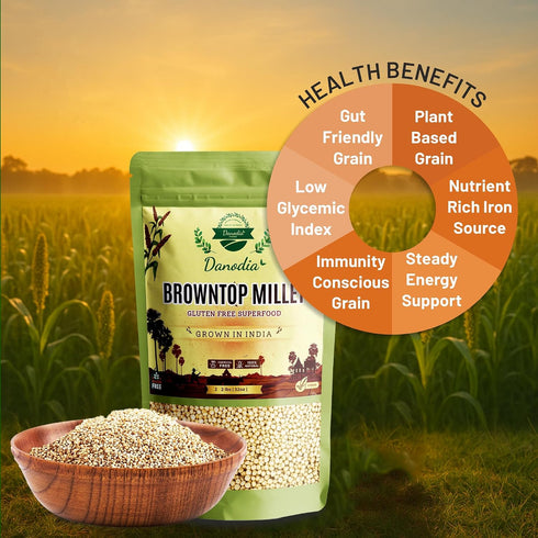2 lbs (950g), Danodia Foods Browntop Millet, Unpolished, Natural & Gluten-Free Whole Grain Superfood, Plant-Based