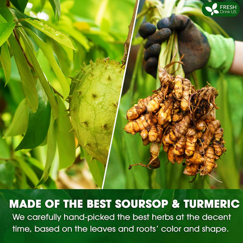60 100% 100% FreshDrinkUS, Premium Soursop Turmeric Tea Bags, Natural, Blend of Soursop Leaves, and Turmeric Root. Made