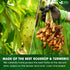 60 100% 100% FreshDrinkUS, Premium Soursop Turmeric Tea Bags, Natural, Blend of Soursop Leaves, and Turmeric Root. Made
