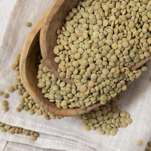 4 Green Lentils, Pound Bulk Bag