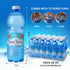 16.9 Oz (24-Pack) Sant'Anna Frizzante Sparkling Natural Mineral Water, Fl | Pure Italian Alps Mountain-Fresh Drinking