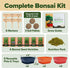 6 HOME GROWN Bonsai Tree Kit Heirloom Varieties with Unique Pots DIY Bonsai Starter Kit for Adults & Beginners