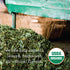 Allegro Coffee 20 Allegro Tea, Organic Decaf Black Tea Bags, ct