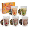 Solisleaf Loose Leaf Tea Sampler Assorted Flavored Tea Gift Set 5 Natural Blends