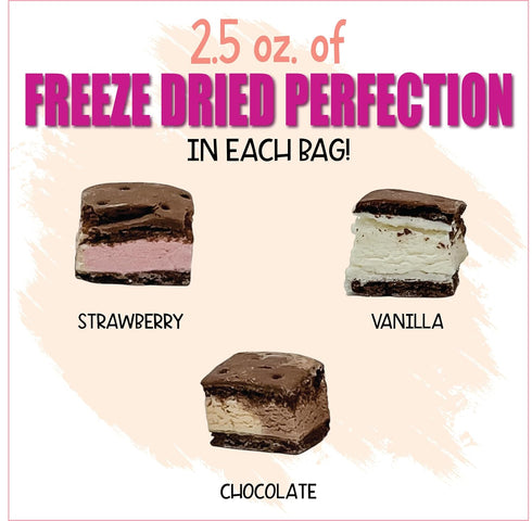 2.5oz (2 pack) Freeze Dried Icecream Sandwich Bites, Neapolitan & Vanilla - Crunchy & Sweet Freeze Dried Dessert Snack
