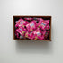 Chex Mix 1.03 Oz (Pack 60) Simply , Strawberry Yogurt