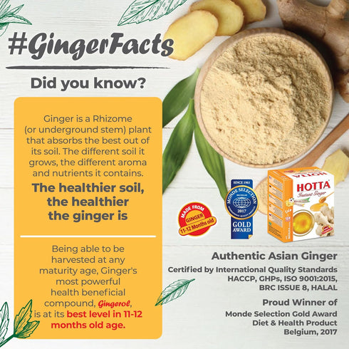B1, B2 B6, 12 HOTTA Instant Ginger Drink with Manuka Honey, Naturally Sweet, Caffeine-Free Herbal Tea, High in Vitamin