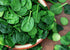 8 Food to Live Organic Spinach Powder, Ounces Non-GMO, Finely Ground Dehydrated Leaves, Pure, Vegan, Kosher, Bulk.