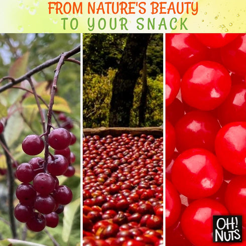 Oh! Nuts Glazed Red Dried Cherries Candies - 1LB Bulk Bag, Dehydrated Sweetened Chewy Fruit Bites