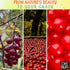 Oh! Nuts Glazed Red Dried Cherries Candies - 1LB Bulk Bag, Dehydrated Sweetened Chewy Fruit Bites