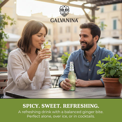 12 oz (6 Galvanina Ginger Ale Premium Organic Italian Sparkling Soda, fl Glass Bottles) | Crisp, Lightly Sweet Ginger