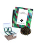 Art of Tea | Organic Green Pomegranate Tea | 50 Eco Friendly Pyramid Tea Bag Sachets