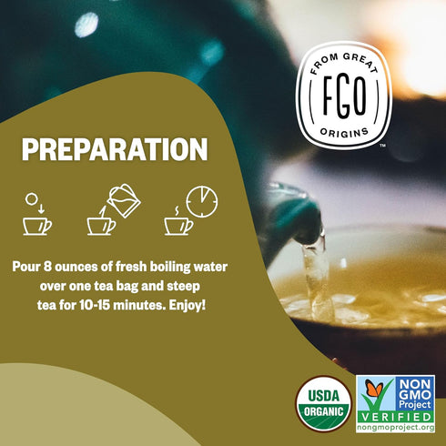 FGO Organic Ginger Tea - 100 Count, Eco-Conscious Tea Bags, Caffeine Free, Packaging May Vary