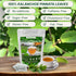 50 BOTAMONY Tea Bags Kalanchoe Pinnata Tea, Leaf of Life Plant Leaves in Filter Bags, Single-Ingredient Dried Plant