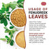 Spicy World Dried Fenugreek Leaves (Kasoori Methi) 3.5oz Box (100g) - All Natural, Vegan, Gluten Friendly, NON-GMO