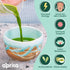3.5 oz/100g AprikaLife Organic Matcha Powder, USDA & JAS Certified, No Sugar Added, Authentic Japanese Ceremonial Grade
