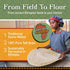 (16oz) Brundo Ethiopian Spice Company | Gluten Free Teff Flour | Hand Picked & Processed Authentic Powdered Ethiopian
