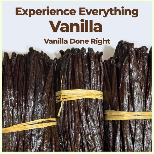 25 ~6-8 inches Whole Vanilla Beans Grade A ++ | Premium Vanilla Bean Pods for Making Extract | |NON GMO. Perfect