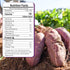 16oz Pack 100% Value Purple Sweet Potato Powder for Regular Use Natural Dried Ube Powder, Purple Yam Powder for Food