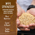 32 (Pack 6) One Degree Organics Sprouted Whole Wheat Flour, Glyphosate-Free, USDA Organic, Whole Grain, High Fiber