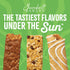 Pack, 2 Pack, 48 49.62 oz Sunbelt Bakery Spring Seasonal Flavor Chewy Granola Bar Variety Bars