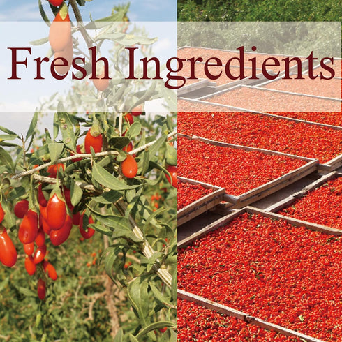 10oz (2x5oz TJBXWPY Organic Goji Berries Jars) | Premium Ningxia Sun-Dried | Superfood Snack Tea