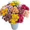 20 Stems Fresh Cut Random Mixed Color Daisy Flowers Long Blooming Period