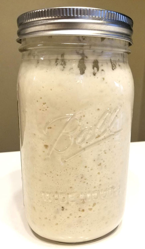 Anything Healthy, LLC San Francisco Sourdough Starter - Dehydrated, Dried Sourdough Starter for Baking Bread- Sour