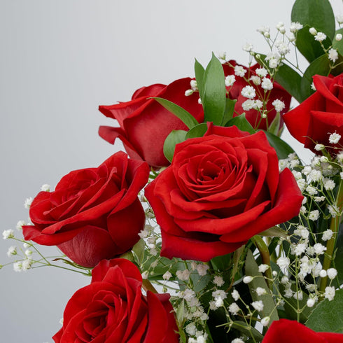 Dozen Benchmark Bouquets - Red Roses Bouquet - Fresh Flowers for Delivery - Mothers Day Flowers - One Long Stem Roses