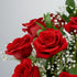 Dozen Benchmark Bouquets - Red Roses Bouquet - Fresh Flowers for Delivery - Mothers Day Flowers - One Long Stem Roses