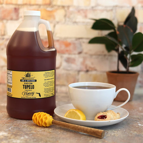 6 HONEY FEAST Pounds Black GumTupelo Honey - Authentic Raw Florida Blend, Pure American Bulk Sweetener