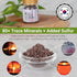 INSANORIGINS 9X 9 80+ 60g Roasted Bamboo Salt Korean Alkaline Mineral Salt for Cooking, Skincare Rituals & Detox Use