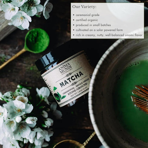 (1.5oz) Anima Mundi Apothecary Matcha Powder - Japanese Single-Origin & Stone-Ground - Certified Organic, Ceremonial