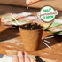 100% Packet 140mg Back to The Roots Organic Seed - Chives 'Garlic'