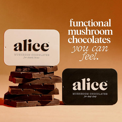 Alice Mushrooms Nightcap + Brainstorm Duo | Functional Mushroom Chocolates | Brainstorm Energy Bites for Focus, Clarity