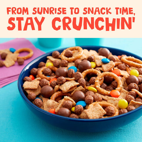 18.8 oz Cinnamon Toast Crunch Breakfast Cereal, Crispy Cinnamon Cereal, Family Size
