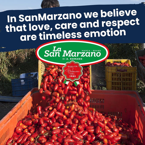 24 oz, La San Marzano Tomato Basil Sauce, Pasta Sauce Made in Italy, All Purpose Tomato Premium Quality, All Natural