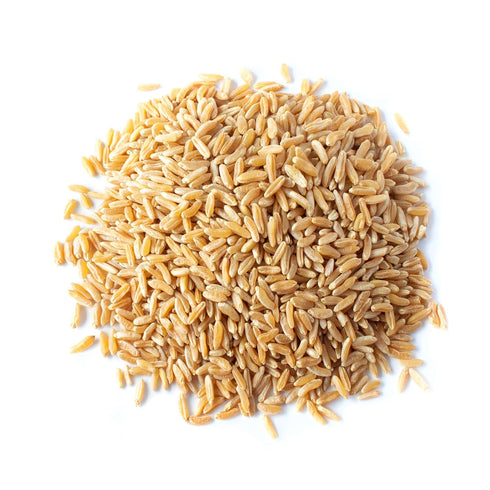 10 100% Food to Live Organic KAMUT Khorasan Wheat Berries, Pounds Whole Grain, Sproutable for Wheatgrass, Non-GMO