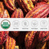 100% (2.6 oz One Farm by WAAYB Organic Cacao, Single Estate, Non-GMO, Fair-Trade, Vegan, Gluten Free, Raw Rizek Cacao