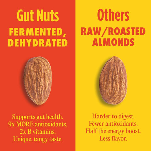3oz (3 Pack) Gut Nuts - Fermented and Sprouted "Sourdough" Almonds for Gut Health - Tangy, Umami, & Salty Flavors