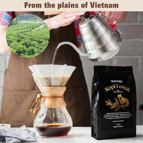 8.8oz 250 MATINE Wild Kopi Luwak Coffee Beans, Medium Roast, Whole Bean Beans, Civet Coffee - Sustainably Sourced From