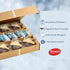 (10 Stern's Bakery Hanukkah Cookie Gift Box Cookies) Menorah & Dreidel Shortbread Chocolate Cookies Gourmet Holiday