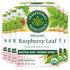 Traditional Medicinals Organic Raspberry Leaf Tea, Supports Healthy Pregnancy and Soothes Menstrual