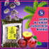 1.25 Sweet Seedless Li Hing Mui Crack Seed Plums | Hawaiian Favorite | Naturally Sweet Dried Asian Plum Candy | Ounce